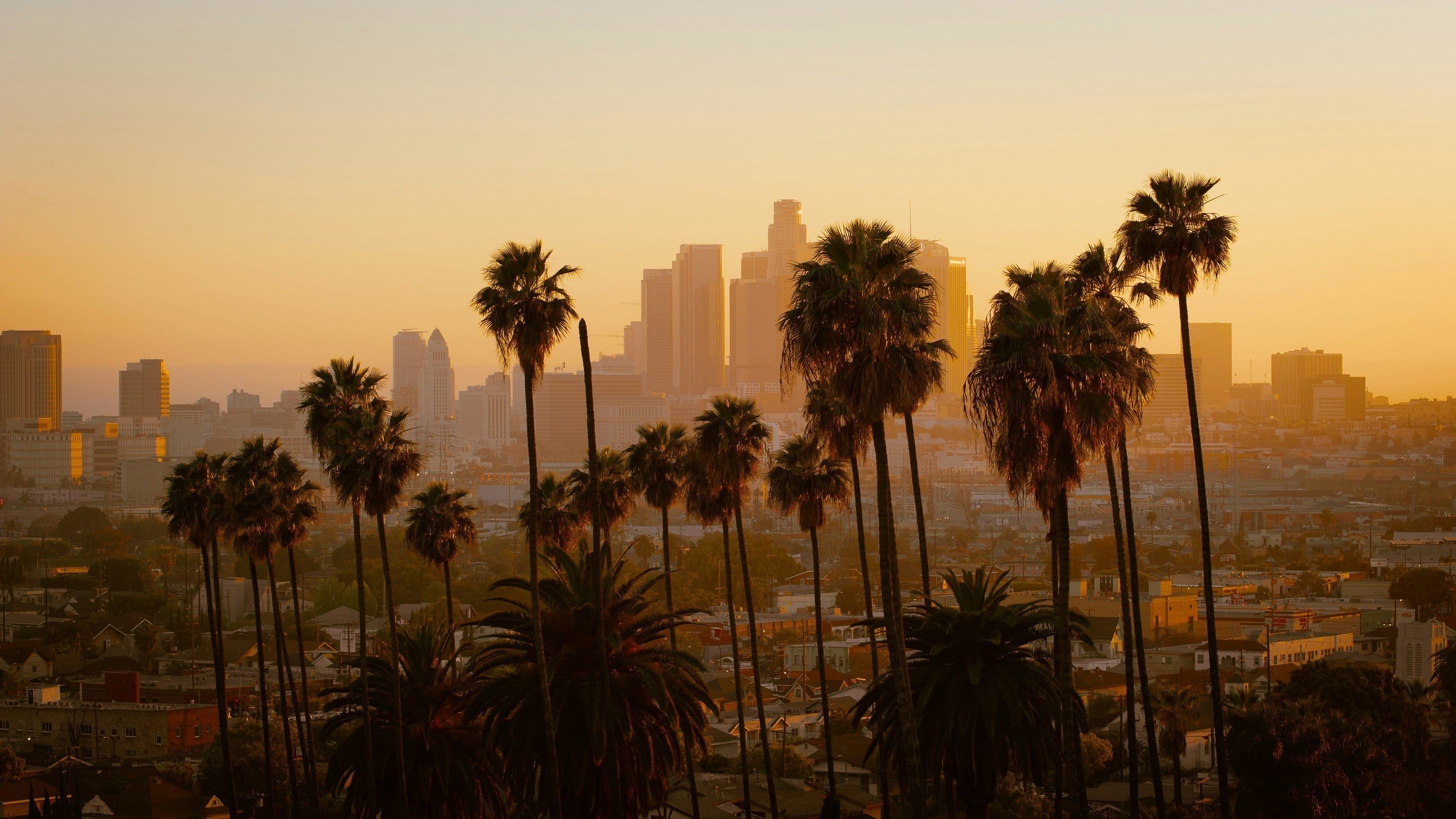 Coast-to-Coast & Doing the Most: 10 Travel Problems My Aviator Tote Solved